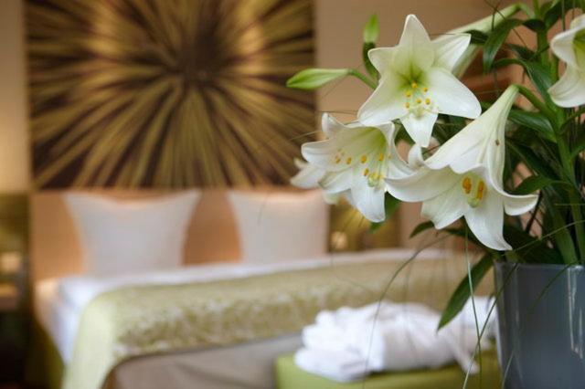 Logis Hotel Kur- Und Wellnesshaus Spree Balance ブルク 部屋 写真